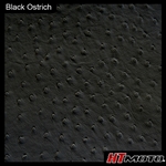 Black Ostrich