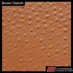 Brown Ostrich